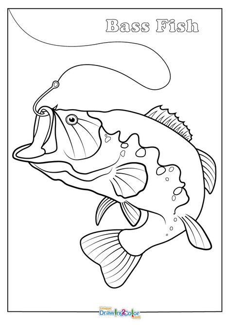 Bass (Fish) Coloring Pages (100% Free Printable PDFs) Bass Fish Coloring Pages, Fish Outline Printable, Fish Template Printable Free Pattern, Fish Colouring Pages, Fish Coloring Pages Free Printable, Fishing Coloring Pages, Bass Drawing, Fish Clip Art, Fish Coloring