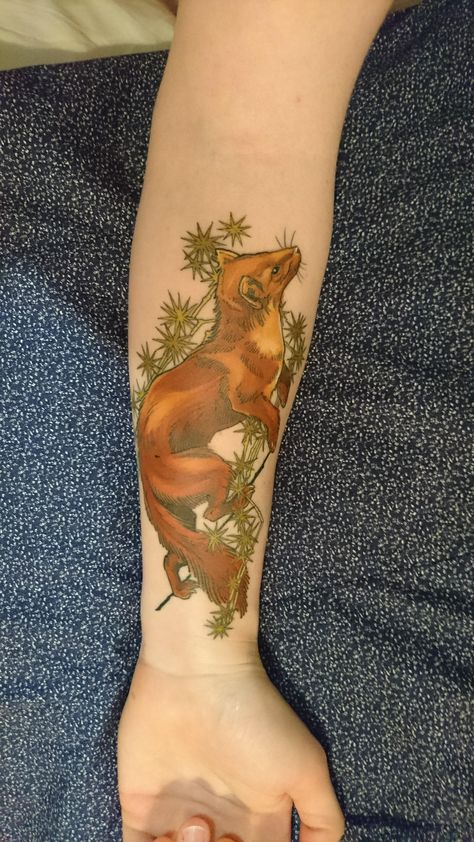 Pine Marten by Emma Davidson of WA Ink in Perth Australia Pine Marten Art, Ermine Tattoo, Pine Marten Tattoo, Marten Tattoo, Ferret Tattoos, Pine Martin, Tattoo Artist Quotes, Ferret Tattoo, Watercolor Tattoo Artists