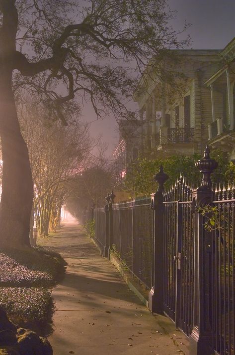 Sidewalk in fog of Jackson Ave. near Prytania St...at night. New Orleans, Louisiana New Orleans Witch, Southern Gothic Aesthetic, Carriage Ride, Louisiana Usa, The Vampire Chronicles, Anne Rice, Garden District, Southern Gothic, Gothic Aesthetic