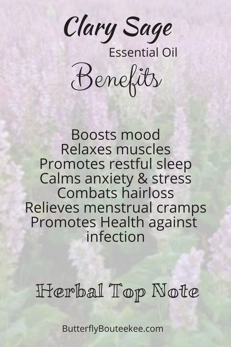 Sage Oil Benefits, Clary Sage Essential Oil Benefits, Sage Essential Oil Benefits, Sage Spiritual, Essential Oil Diffuser Blends Recipes, Clary Sage Essential Oil, Energy Yoga, Essential Oils Health, Sage Oil