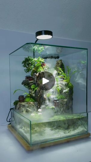 Plant Ideas, Viral Post, Fish Tank, Layout Design, How To Plan