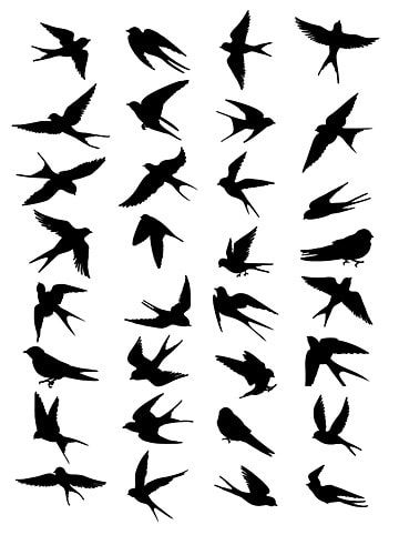 qingming festival,statutory or chinese festivals,spring,hand draw,cartoon hand drawn,qingming,holiday,festival,gala,swallow,twenty-four solar terms,beginning of spring,cartoon,small fresh,decorative pattern,illustration,cute,simple,silhouette,april hotspot,animal,magpie,bird,bird,fly,dynamic,wing,migratory bird,little swallow Swallow Bird Illustration, Swallow Bird Photography, Bird Simple Illustration, Swallow Drawing Simple, Flying Birds Drawing, Bird Graphic Design, Flying Bird Drawing, Simple Bird Drawing, Painting Silhouette