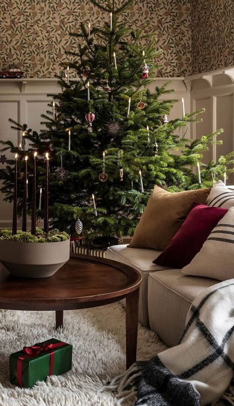 Christmas Interiors, Cool Christmas Trees, Christmas Feeling, Christmas Inspo, Whimsical Decor, Bedroom Refresh, Noel Christmas, Merry Little Christmas, Christmas Mood