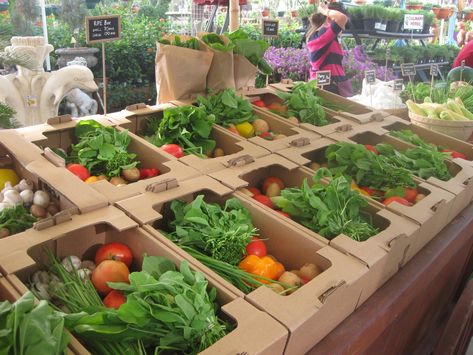 Organic Vegetable Packaging, Farm Market Ideas, Farmers Market Stand, Vegetable Packaging, Farmers Market Display, Organic Packaging, Vegetable Stand, Vegetable Boxes, Vegetable Shop