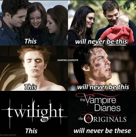 Supernatural Creatures, Vampire Diaries Memes, Fandom Quotes, The Vampire Diaries Characters, Vampire Diaries Poster, Damon Salvatore Vampire Diaries, Vampier Diaries, The Vampire Diaries 3, Tvd Universe