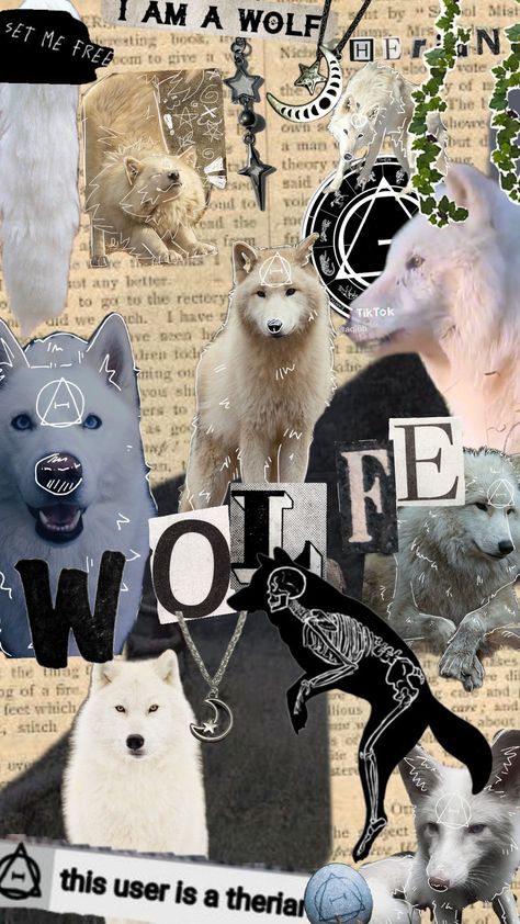 white wolf therian#therian#wolf#therianwolf #therianwallpaper #therianthopy #therianthrope #whitewolftherian Gray Wolf Therian, Therian Wolf, Wolf Therian, Arctic Wolf, Grey Wolf, White Wolf, Animal Videos, School Fits, Funny Animal