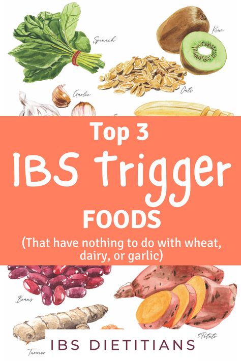 Ibs Trigger Foods, Ibs Diet Plan, Ibs Diet, Gut Health Diet, Ibs Recipes, Gut Healing Recipes, Low Fodmap Diet, Fodmap Diet, Food Sensitivities