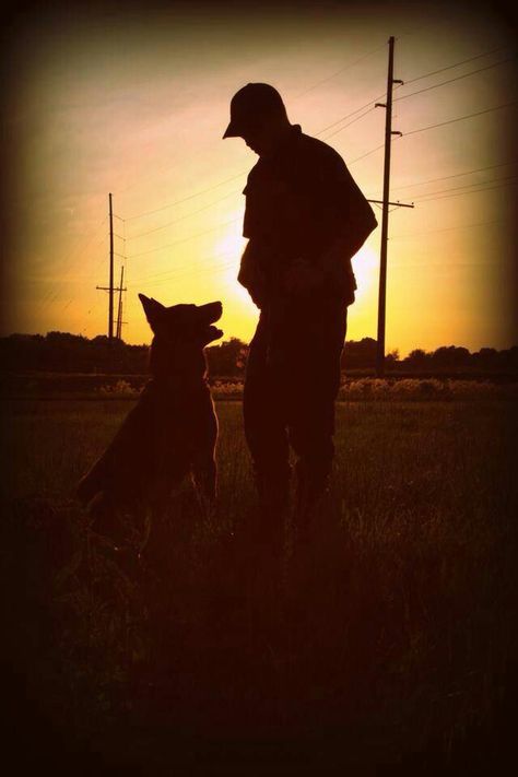 Quincy, IL Police Officer Gilbert and Uno. Great silhouette! Police Officer Aesthetic, Officer Aesthetic, Leo Photoshoot, K9 Police Dogs, K9 Officer, K9 Police, Safe With Me, K9 Dogs, K9 Unit