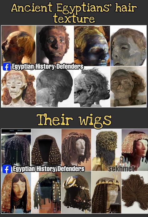 Egyptian Wigs, Ancient Egyptian Hair, Ancient Egyptian Hairstyles, Egyptian Wig, Egyptian Hairstyles, Ancient Africa, Modern Egypt, Ancient Egypt History, Egyptian Mummies