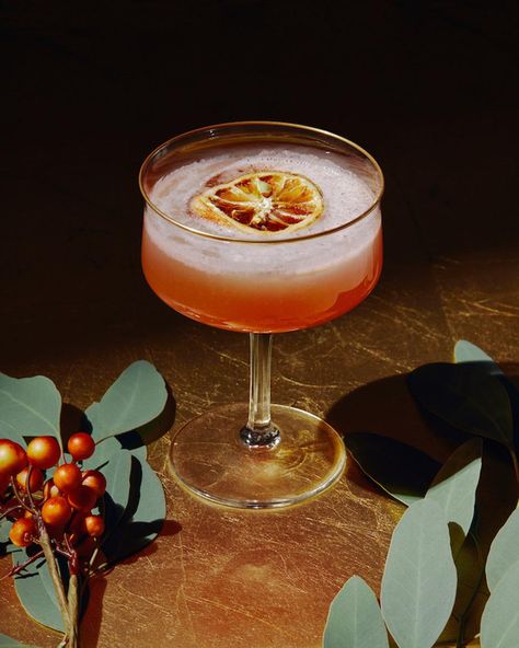 Easy Cocktail Recipes: 20 Festive Drinks To Enjoy All Winter Winter Cocktails Aesthetic, Best Winter Cocktails, Christmas Drink Aesthetic, Delicious Cocktail Recipes, January Cocktails Recipe, Gin Winter Cocktails, Simple Winter Cocktails, Winter Cocktails Recipes Easy, January Cocktails