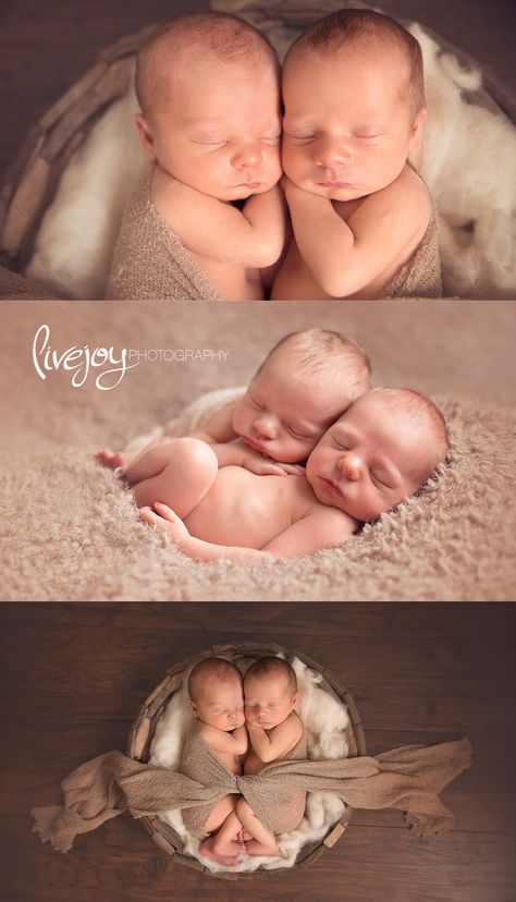 Twin Newborn Boy Photos | Oregon | LiveJoy Photography Newborn Twin Photos, Twin Baby Photography, Twin Baby Photos, Twins Posing, Twin Newborn, Twin Pictures, Newborn Photos Boy, Twin Photography, Boy Photo Shoot