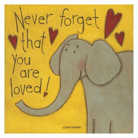 Never forget that you are loved!... Happy Day Quotes, Thinking Of You Quotes, Elephants Never Forget, Hug Quotes, Elephant Love, Love Posters, You Are Loved, Friends Quotes, Cute Quotes