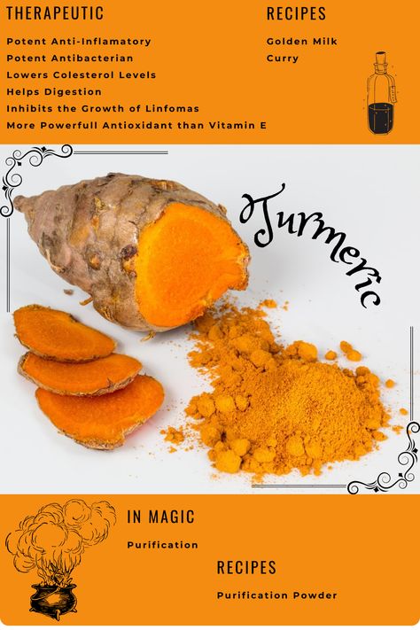 Let´s talk about the health benefits of turmeric and its uses. Turmeric root is very good for you, it helps in pain if it's caused by inflamation, because it is anti inflamatory. #turmeric #greenwitch #kitchenwitch #healthbenefitsofturmeric Health Benefits Of Turmeric, Anti Inflamatory, Benefits Of Turmeric, Turmeric Health Benefits, Help Digestion, Golden Milk, Turmeric Root, Kitchen Witch, Ayurveda