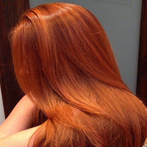 Cheveux Oranges, Red Hair Inspo, Ginger Hair Color, Copper Hair Color, Long Red Hair, Modern Disney, Sansa Stark, Red Hair Color, Long Red