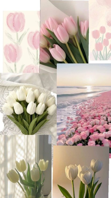 Tulip Collage Wallpaper, Aesthic Flowers, Pink Tulips Wallpaper Aesthetic, Tulip Flower Pictures, Pretty Flowers Pictures, Classy Wallpaper, Flower Boquet, Coquette Wallpaper, Cute Summer Wallpapers