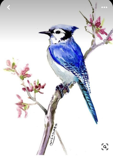 Blue Jay Illustration, Jay Illustration, Watercolor Blue Jay, Blue Jay Painting, Flowers Branch, Suren Nersisyan, Blue Bird Art, Bird Watercolor Paintings, Watercolor Blue