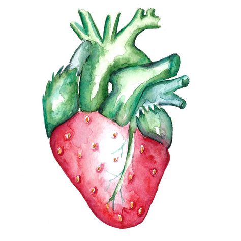 Heart Drawing Ideas, Strawberry Drawing, Fruit Hearts, Microscopic Photography, Heart Anatomy, Strawberry Hearts, Food Illustration Art, Baby Pregnancy, Colour Painting