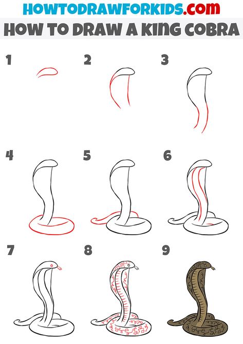 how to draw a king cobra step by step How To Draw A Cobra Step By Step, Cobra Drawing Easy, King Cobra Snake Drawing, How To Draw A Snake Step By Step, King Cobra Drawing, How To Draw A Snake, Cobra Sketch, Cobra Drawing, Snakes Drawing