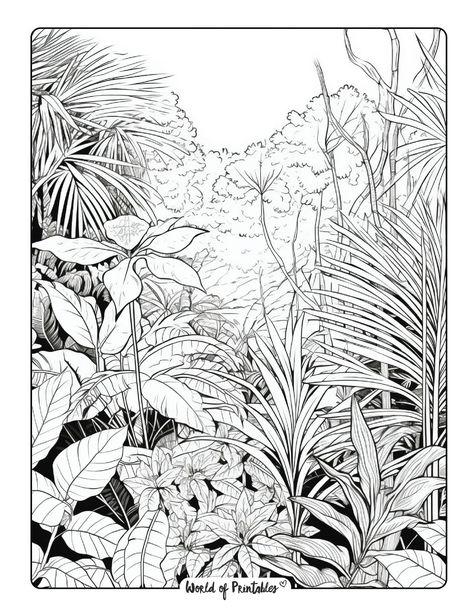 Jungle Coloring Pages, Jungle Drawing, Jungle Pictures, Jungle Flowers, Garden Mural, Jungle Gardens, Jungle Illustration, Horse Coloring Pages, Adult Colouring Pages