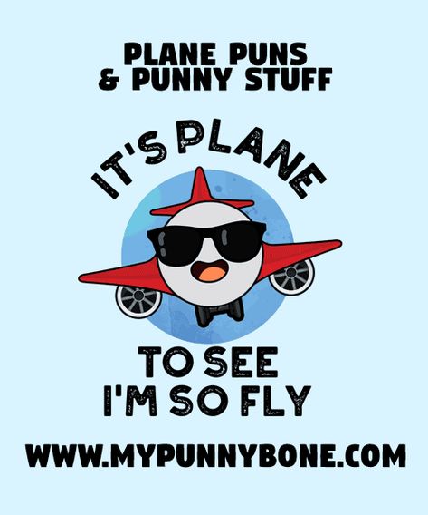 Plane Quotes, About Planets, Plane Jane, Pilots Birthday, Birthday Puns, Funny Logo, Wing It, Flying Carpet, Airplane Pilot