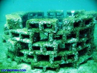 Pond Structure, Coral Restoration, Ponds Ideas, Pond Habitat, Underwater Environment, Fish Habitat, Cars Old, Underwater Sculpture, Artificial Reef