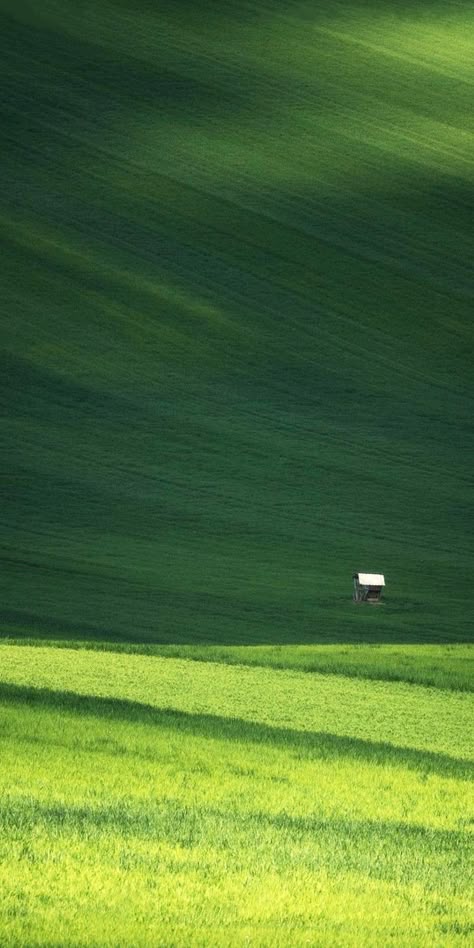 Green Minimalist Wallpaper, Landscape Wallpaper Iphone, Green Landscape Wallpaper, Nature Landscape Wallpaper, 숲 사진, Foto Newborn, Kawaii Items, Green Field, Pretty Landscapes