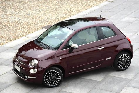 Fiat 500 Aesthetic, Cute Small Cars, Burgundy Car, Fiat Car, Fiat 500 Lounge, Fiat Cars, Tiny Cars, Girly Car, Fiat Abarth