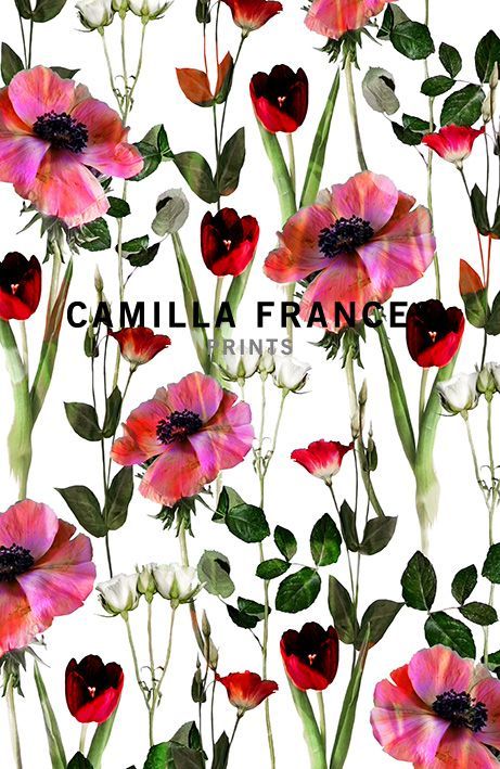 { floral } _ Camilla Frances prints: Camila Frances Print, Camilla Frances Prints, Camilla Frances, Botanical Floral Prints, Flower Print Pattern, Floral Textile, Textile Pattern Design, Picture Illustration, Textile Patterns