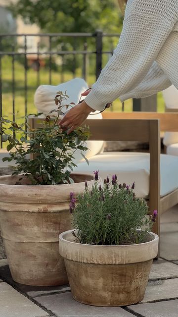 Kristel Gillies on Instagram: "No.1 Aged Planters in a week’s time. Counting down the top 5 projects of this past year and number 1 is the Aged Planters. I love the look of planters with patina. You know the ones that have weathered for years, but I don’t have $$ or eternity to wait for new terracotta pots to naturally look like that. So, with a few items from the hardware store, we recreated the look for much MUCH less 😏 It doesn’t surprise me this was at the top of the list for 2023 because if you e been here for a while you know I love a good hack! If you’re new, let me fill you in…I love taking affordable home decor and turning into a look alike for my favorite designer pieces! Join me in 2024 and let’s create designer home decor for less!" New Terracotta, Patio Planters, Designer Pieces, Surprise Me, Designer Home, Affordable Home Decor, I Love A, Olive Tree, Autumn Garden