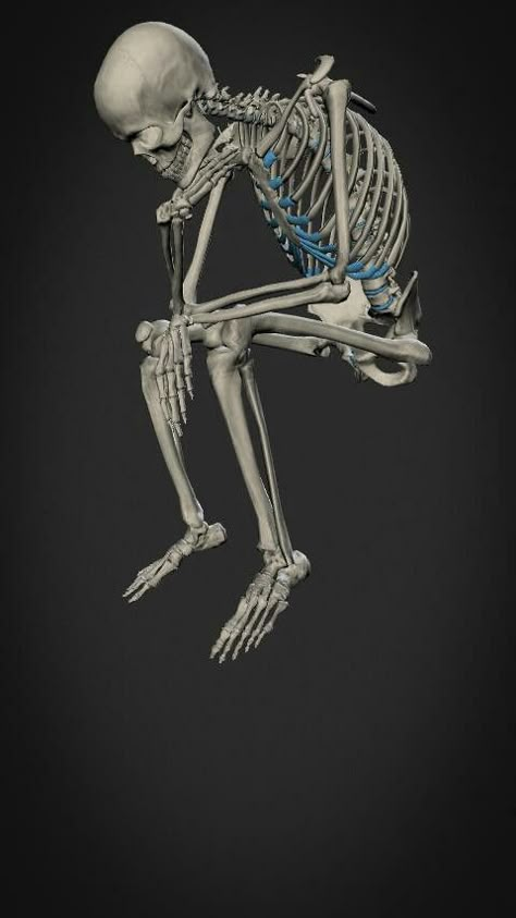 Skeleton Squatting, Skeleton Sitting Down, Skeleton Sitting In Chair, Sitting Skeleton, Posture Drawing, Skeleton Sitting, Skeleton Poses, Skeletal Anatomy, Human Skeleton Anatomy