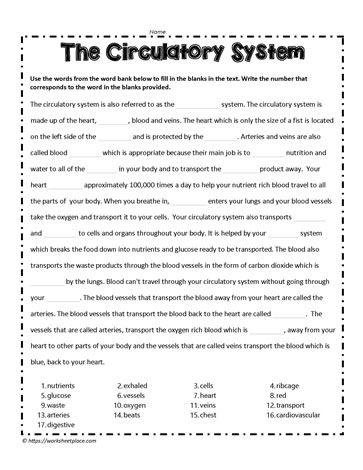 Circulatory System Cloze Activity Human Body Printables, Cloze Activity, Division Facts, Division Worksheets, Word Bank, Circulatory System, Free Print, A Sentence, Science And Nature