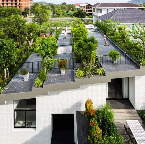 Love the green roof.  Adding efficient ceiling heating inside would make this home a truly 21st century dwelling. Vo Trong Nghia, Rooftop Design, Pergola Design, Roof Architecture, Green Architecture, Terrace Design, Rooftop Garden, Pergola Designs, House Roof