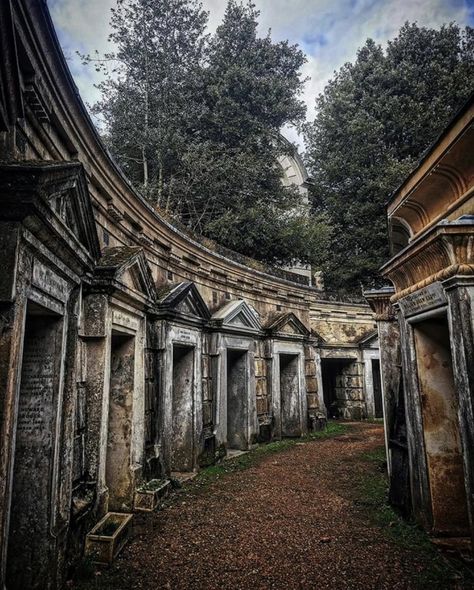 Highgate Cemetery London, Hello London, Highgate Cemetery, Population Growth, Bring Me To Life, Fake Trees, England London, Cemetery Art, Hades And Persephone