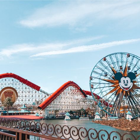 Perfect photo spot to get all pixar pier in the background! Pier Outfit, Pixar Pier, Disney Photo Ideas, Roller Coasters, Disney Photos, Roller Coaster, Pixar, Disneyland, Photo Ideas