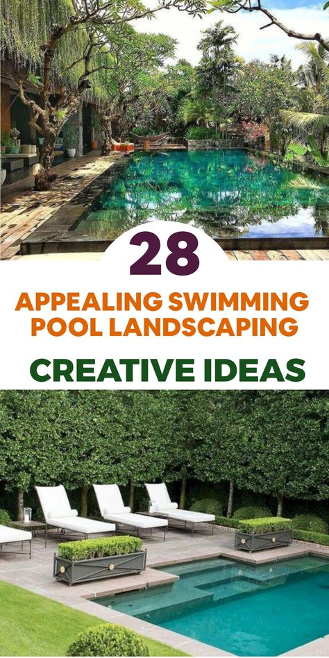 Immerse yourself in the splendor of your own backyard oasis with these captivating swimming pool landscaping concepts. Elevate your pool area into a lavish sanctuary by encircling it with verdant palm trees, exotic flora, and colorful blooms. Infuse tranquility through the addition of natural stone details and cascading water features that transform the ambiance into a serene haven. Complement the space with cozy lounge chairs and chic outdoor furnishings for a stylish lounging experience under Chicken Coop Designs Diy, Irrigation System Diy, Hydroponics Diy, Swimming Pool Landscaping, Stylish Outdoor Furniture, Tropical Backyard, Comfortable Lounge, Low Maintenance Landscaping, Garden Makeover