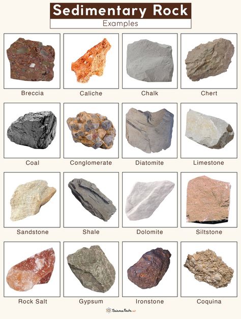 Igneous Rocks Pictures, Rock Identification Pictures, Sedimentary Rock Formation, Geology Rocks Mineral, Different Types Of Rocks, Raw Gemstones Rocks, Types Of Rocks, Rock Identification, Rock Cycle