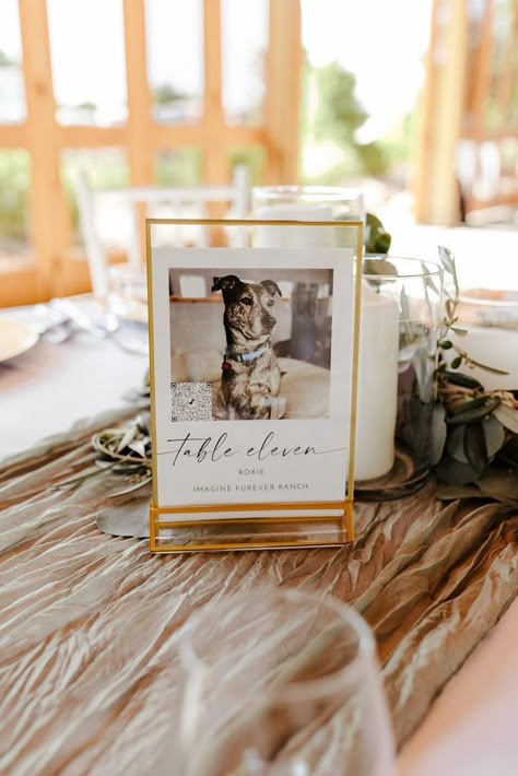 Wedding Table Picture Frames, Gold Frame Table Numbers Wedding, Wedding Table Sign Ideas, Dog Table Numbers, Picture Wedding Centerpieces, Photo Centerpieces, Kim Wedding, Photo Table Numbers, Framed Table Numbers