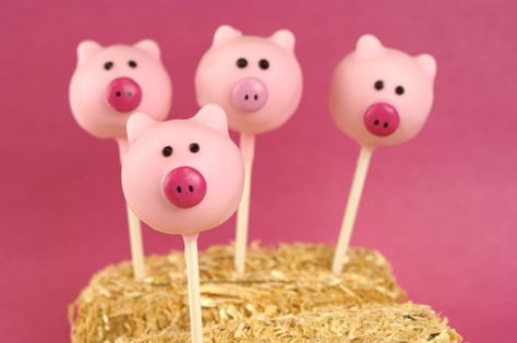 Pig Cake Pops, Animal Cake Pops, Piggy Cake, Cake Pop Holder, Cake Pop Designs, Pig Birthday Party, Bee Cakes, Farm Cake, Pig Cake