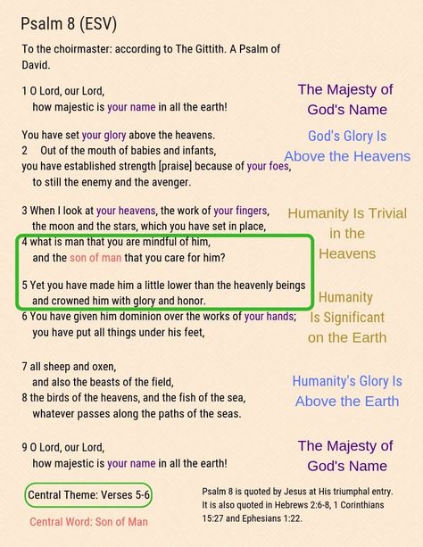 Psalm 8 Psalms 8, Psalm 8, Bible Charts, Rest In The Lord, Triumphal Entry, The Psalms, Psalm 1, Bible Bookmark, Ephesians 1