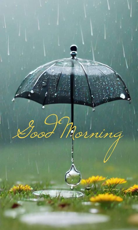 Rainy Morning Quotes, Rainy Day Images, Good Morning Rain, Rainy Day Wallpaper, Rainy Good Morning, Day Wallpaper, Morning Nature, Bahamas Island, Rainy Morning