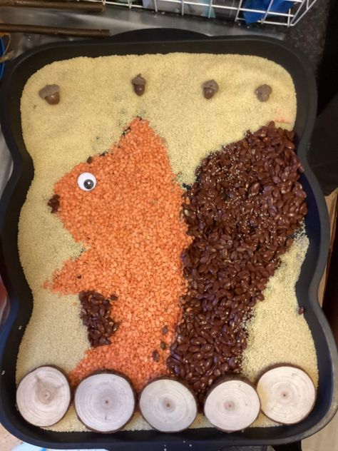 Autumn Animal Activities For Preschool, Squirrel Eyfs Activities, Autumn Sensory Tray, Autumn Tuff Tray, Sensory Tray, Autumn Adventures, Sensory Games, Autumn Animals, Eyfs Activities