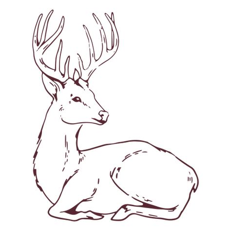 Sat animal deer  PNG Design Deer Laying Down Drawing, Dear Sketch, Deer Drawing Sketches, Deer Doodle, Deer Drawing Easy, Deer Outline, Hunting Drawings, Deer Stencil, Animal Stencils