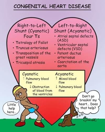 congenital heart disease Nursing Information, Child Nursing, Nursing Mnemonics, Congenital Heart Defect, Cardiac Nursing, Nursing School Survival, Congenital Heart, Respiratory Therapy, Nursing School Studying