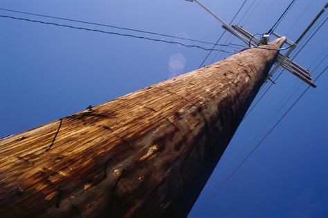 How to Hide an Electric Pole in a Backyard. Most gardens contain at least one element that's less than ideal, but few things are as awkward to work around than electrical poles. Ideally, a landscape plan should screen the pole from view without interfering with the lines or the pole itself and still allow access to the pole for maintenance. There are a number of approaches you can take to disguise these eyesores. Electric Pole, Hiding Ugly, Screen Plants, Property Owner, Corner Plant, Rustic Patio, Flower Bed Designs, Light Pole, Landscape Plan