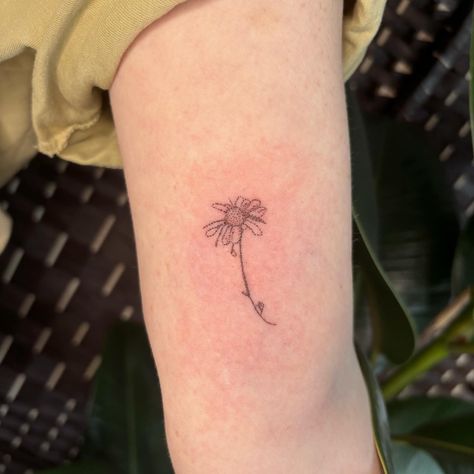 Egon Schiele’s Field Of Flowers (just one flower!) for @jesskeightley today! Thank you so much for the trust with your first professional tattoo lovely, I adore this design so much! Link in bio to book for Feb/March! I have a ton of space next week, deals on flash! TRAVEL DISCOUNT Discounted half days and full days if you’ve travelled 1+ hours to get tattooed! #handpoke #ukhandpoke #handpokeartist #egonschiele #egonschieletattoo Egon Schiele Tattoo, One Flower, Egon Schiele, Field Of Flowers, Hand Poke, Professional Tattoo, Flower Field, Flower Tattoos, Next Week