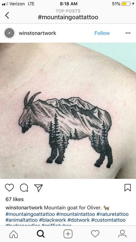 Mountain Goat Tattoo, Flower Side Tattoo, Goat Tattoo, Sheep Tattoo, Big Horn Sheep, Mountain Tattoo, Side Tattoos, Hand Tattoos For Guys, Mountain Goat