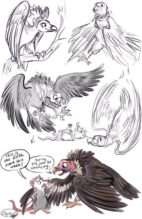 Vultures by sharkie19 on DeviantArt Cartoon Vulture, Draw A Monster, Monster Girls, Desenho Tattoo, Character Design Animation, Animal Sketches, Animation Design, Art Drawings For Kids, Bird Drawings