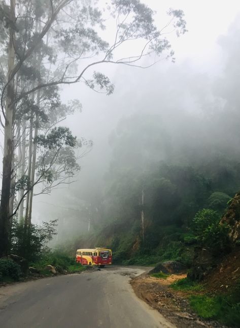 Aanavandi #travel #wanderlust #munnar Munnar Photography Travel, Munnar, Travel Wanderlust, Sri Lanka, Travel Photos, Bucket List, Country Roads, India, Collage