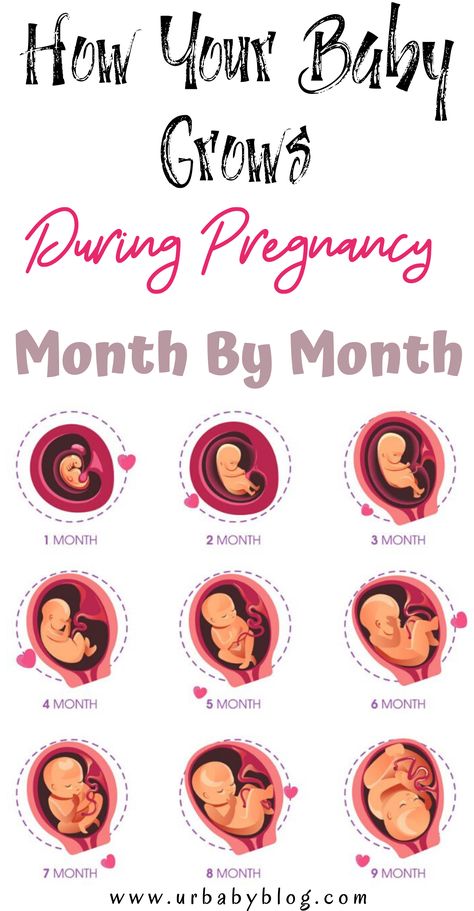 Weeks In Months Pregnancy, Pregnancy Month By Month, Conception Month Birth Month, Weeks Pregnant In Months, 1st Month Of Pregnancy, Weeks To Months Pregnant, 1 Month Pregnancy Symptoms, Pregnancy To Do List Month By Month, Pregnancy Month