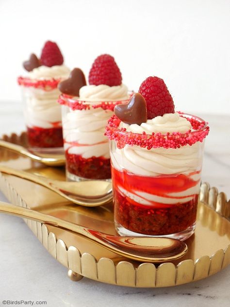 No-Bake Raspberry Cheesecake Parfaits Recipe - quick, delicious and easy desserts to make for your Valentine's Galentine's Day party! by BirdsParty.com @birdsparty Bake Valentines Day, Dessert St Valentin, Cheesecake Parfait Recipes, Cheesecake Parfait, Raspberry No Bake Cheesecake, Cheesecake Parfaits, Raspberry Desserts, Parfait Desserts, Easy Dessert Recipes Quick